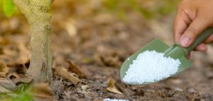 مواضيع متفرقة